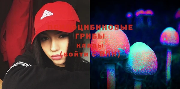 гидра Козловка
