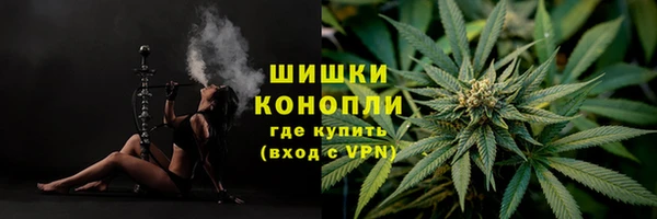 гидра Козловка
