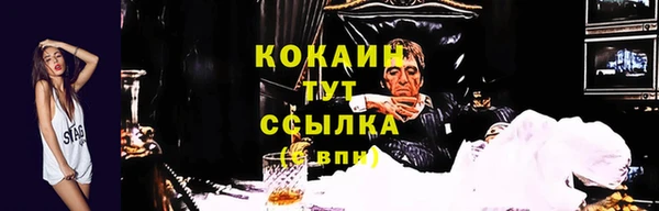 jwh Козельск