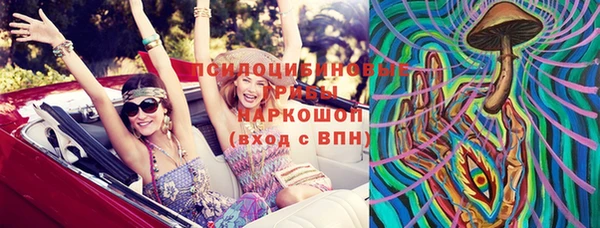 гидра Козловка