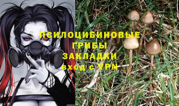 прущие крисы Кодинск