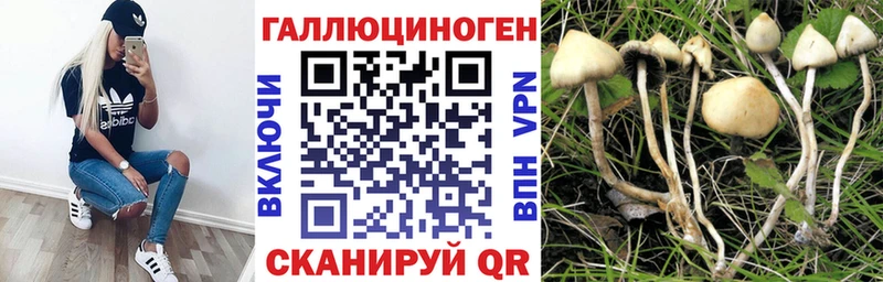 Галлюциногенные грибы мицелий  Купить  Пустошка 